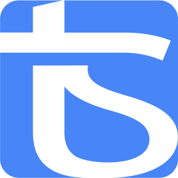 T&S (Technology & Strategy) logo
